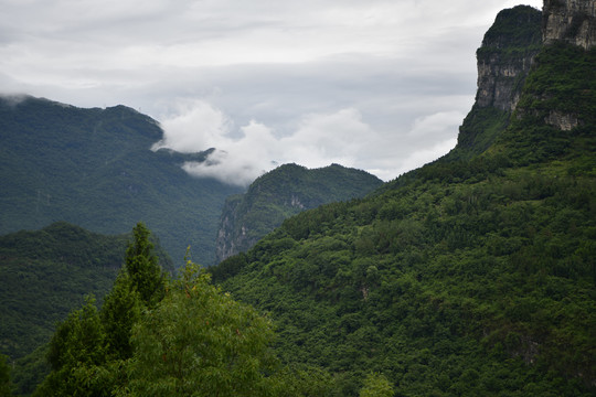 山中晨雾