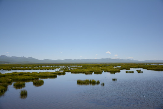 草原湖水