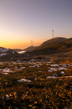 山顶风景