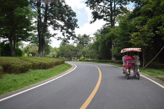 松山湖骑行三人车