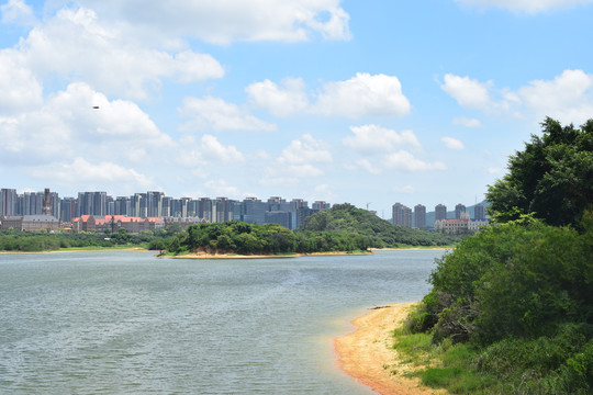 松山湖湖岸边