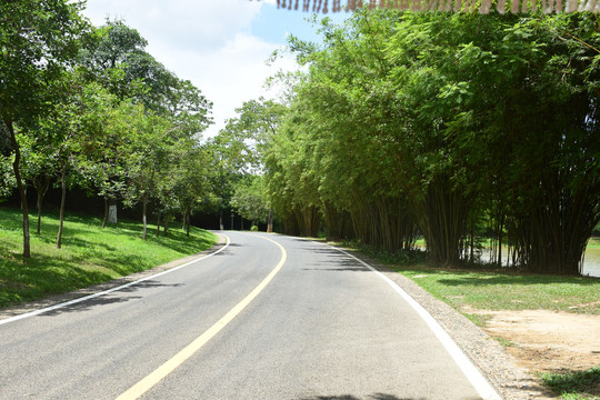 松山湖竹林车道