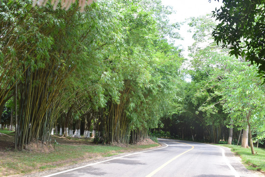 松山湖风景区骑行车道