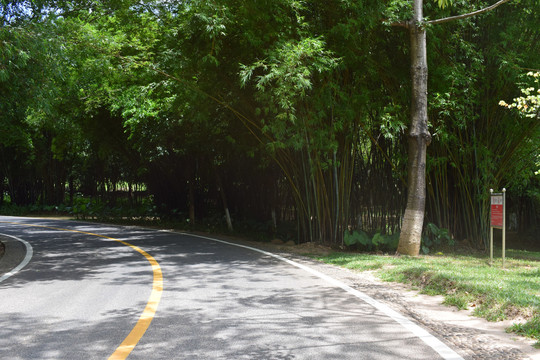 松山湖骑行车道摄影