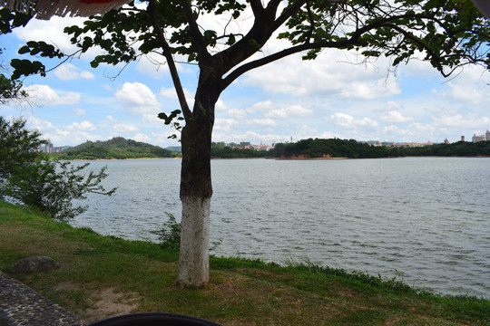 松山湖风景