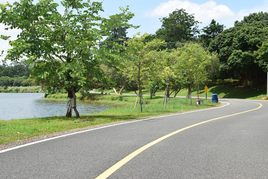湖泊边的骑行车道