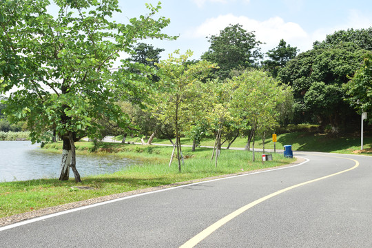 松山湖烟雨湖单车道