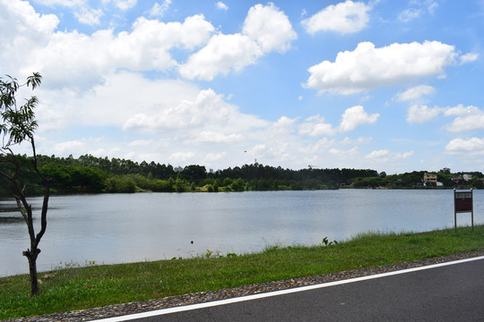 松山湖光景