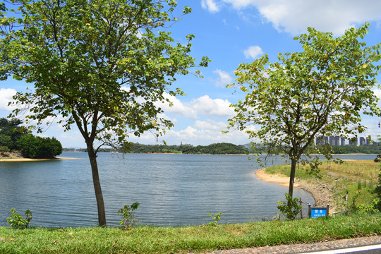 松山湖美丽景色