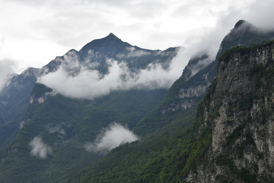 高山晨雾