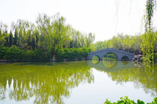 公园景观河流