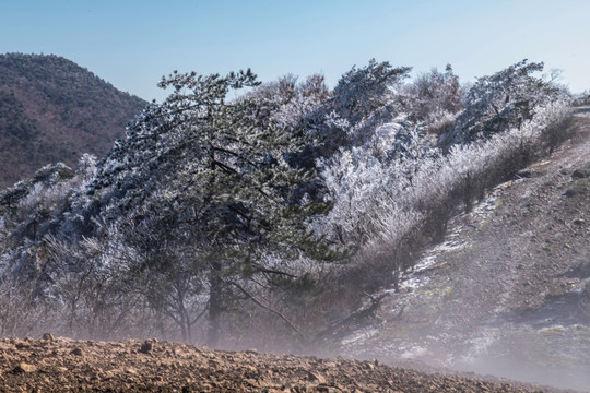 雪山