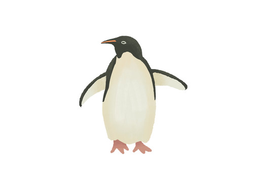 原创手绘插画可爱动物卡通企鹅