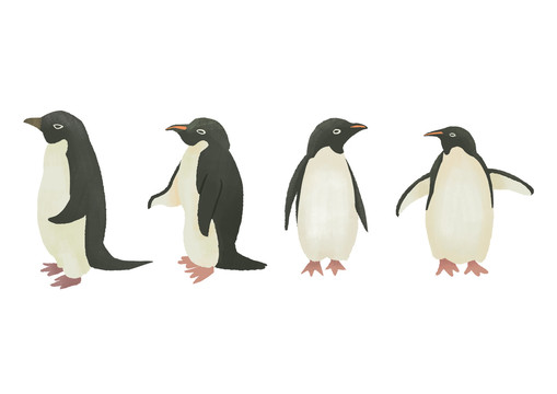原创手绘插画卡通动物可爱企鹅