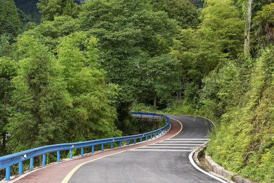 树林森林1车路林间小路