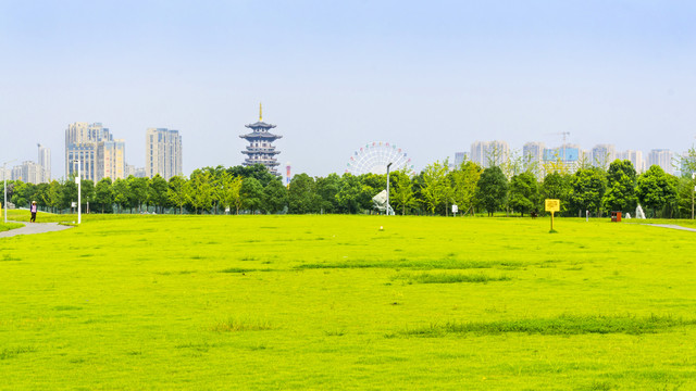 草地绿韵