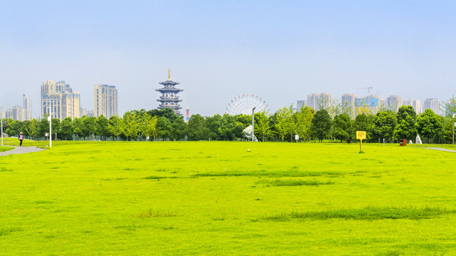草地绿韵