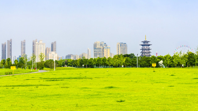 草地绿韵