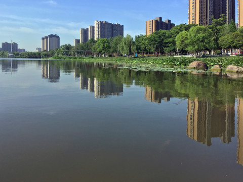 龙池湖边美丽景色