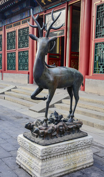 北京颐和园铜鹿雕塑