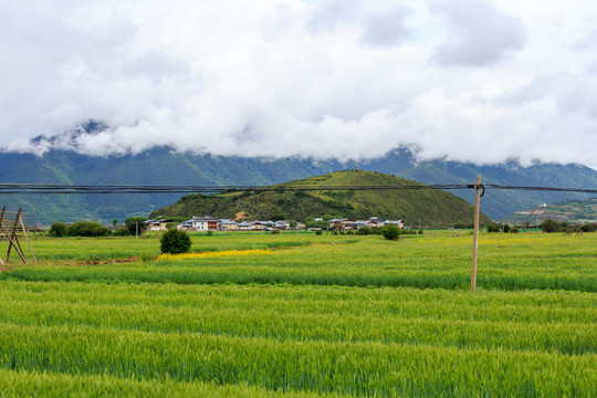 香格里拉拉依拉草原