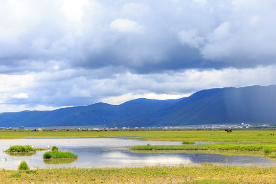 香格里拉纳帕海风景区