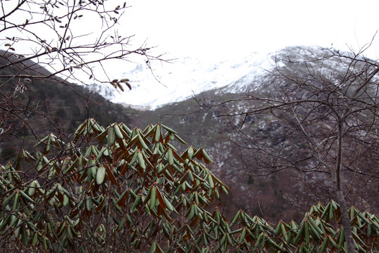 九寨沟山魂