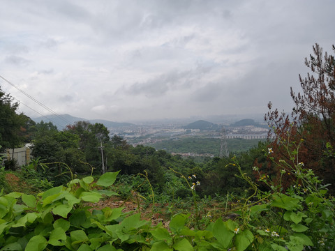 山上风景