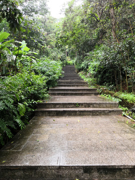 山路