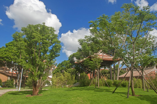 中式园林绿化风景