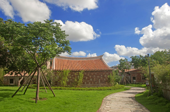 小山竹丛夏季风景