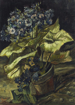 文森特·威廉·梵高花盆里的瓜叶菊