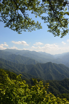 秦岭风光