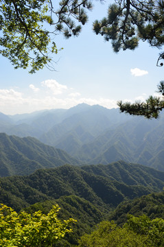 秦岭风光