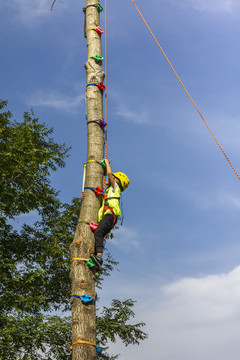 户外运动儿童向上攀爬树干