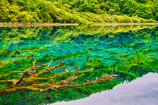 五光十色的九寨沟山水