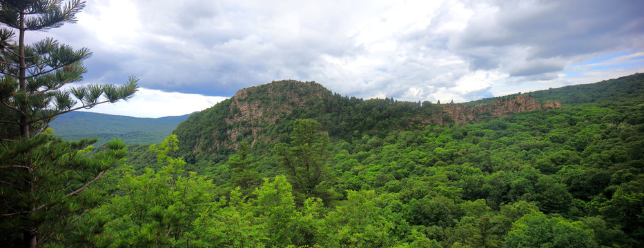 远山森林