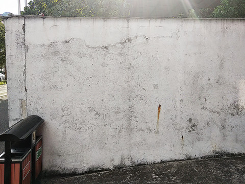 纹理