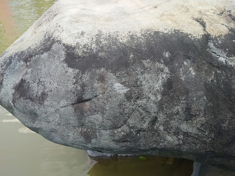 纹理
