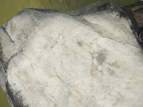 纹理