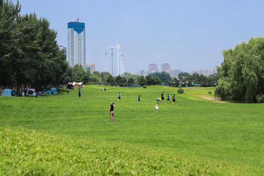 城市草地