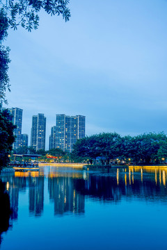 夜色东莞西湖美景