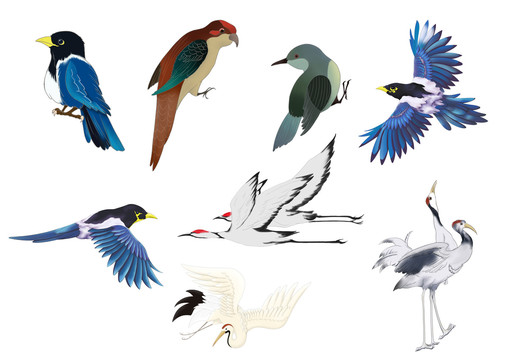 原创手绘中国风古典鸟类动物组合