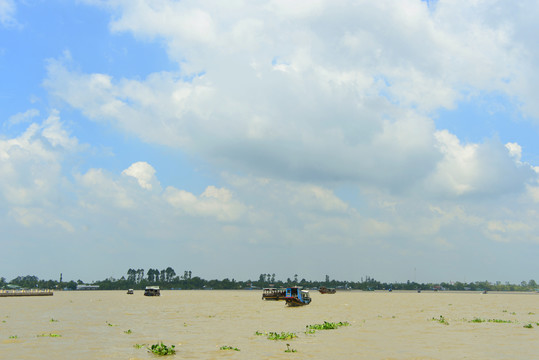 越南湄公河江心岛屿龙岛风光