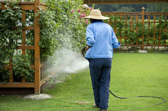 花园浇水的园艺工人