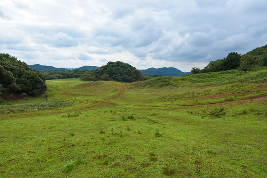 高山草坪风光