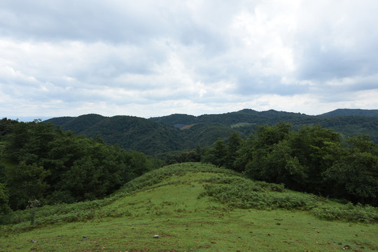高山草坪风光
