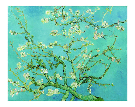 文森特·威廉·梵高梵高盛开的梨花油画
