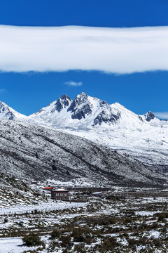 川西折多山雪山高原风光