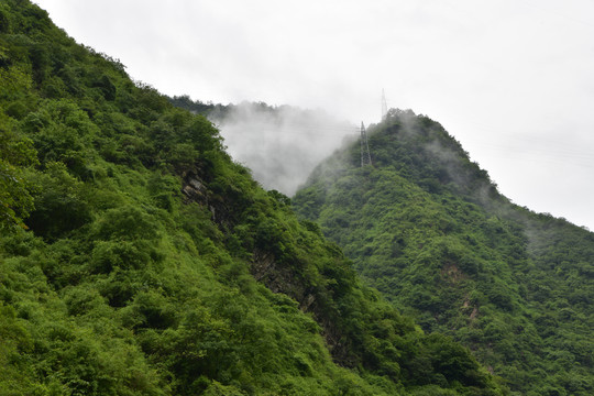 青山晨雾